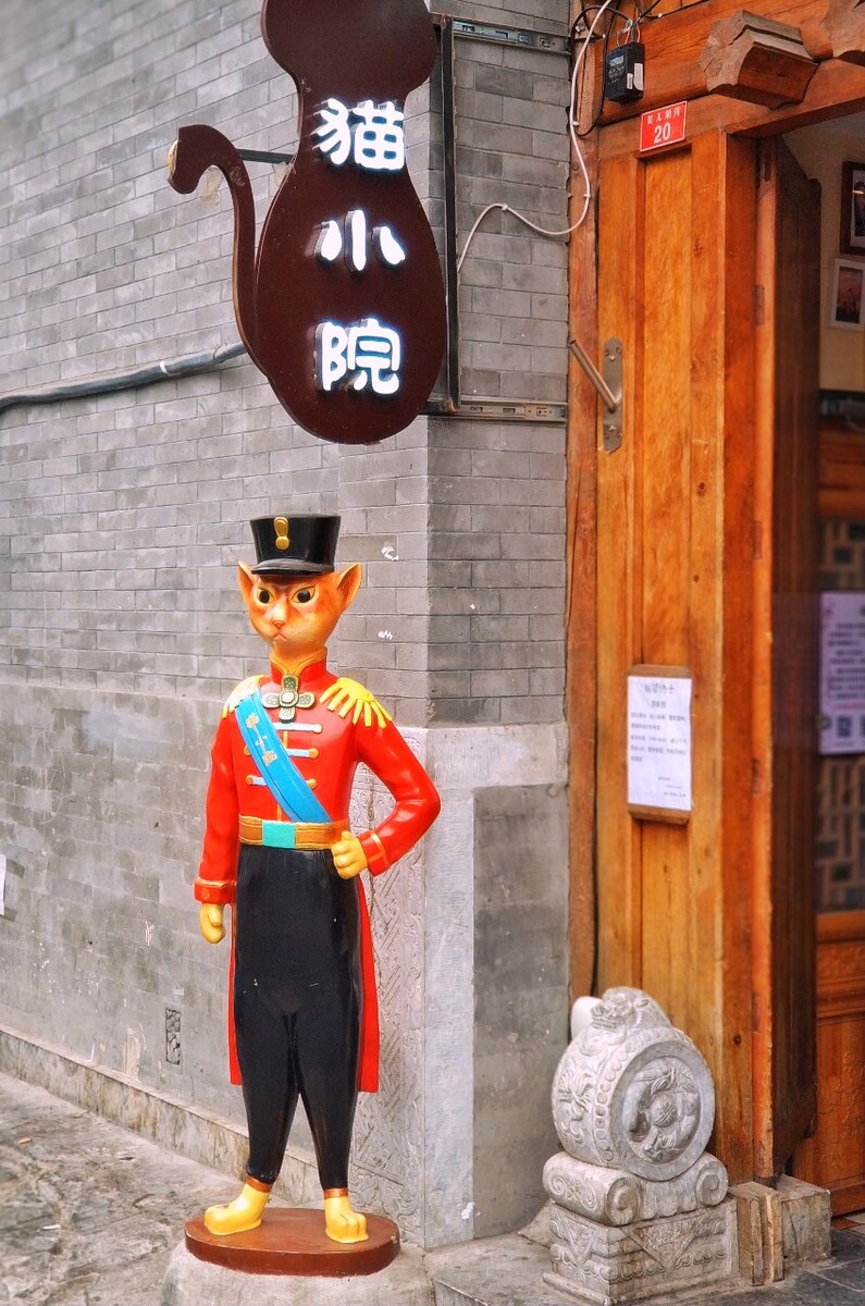 撸猫就去小院，吃美食，撸名猫。