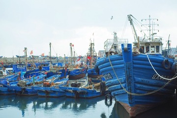 IMG00003（P-ZBW-0012）-750×499 72