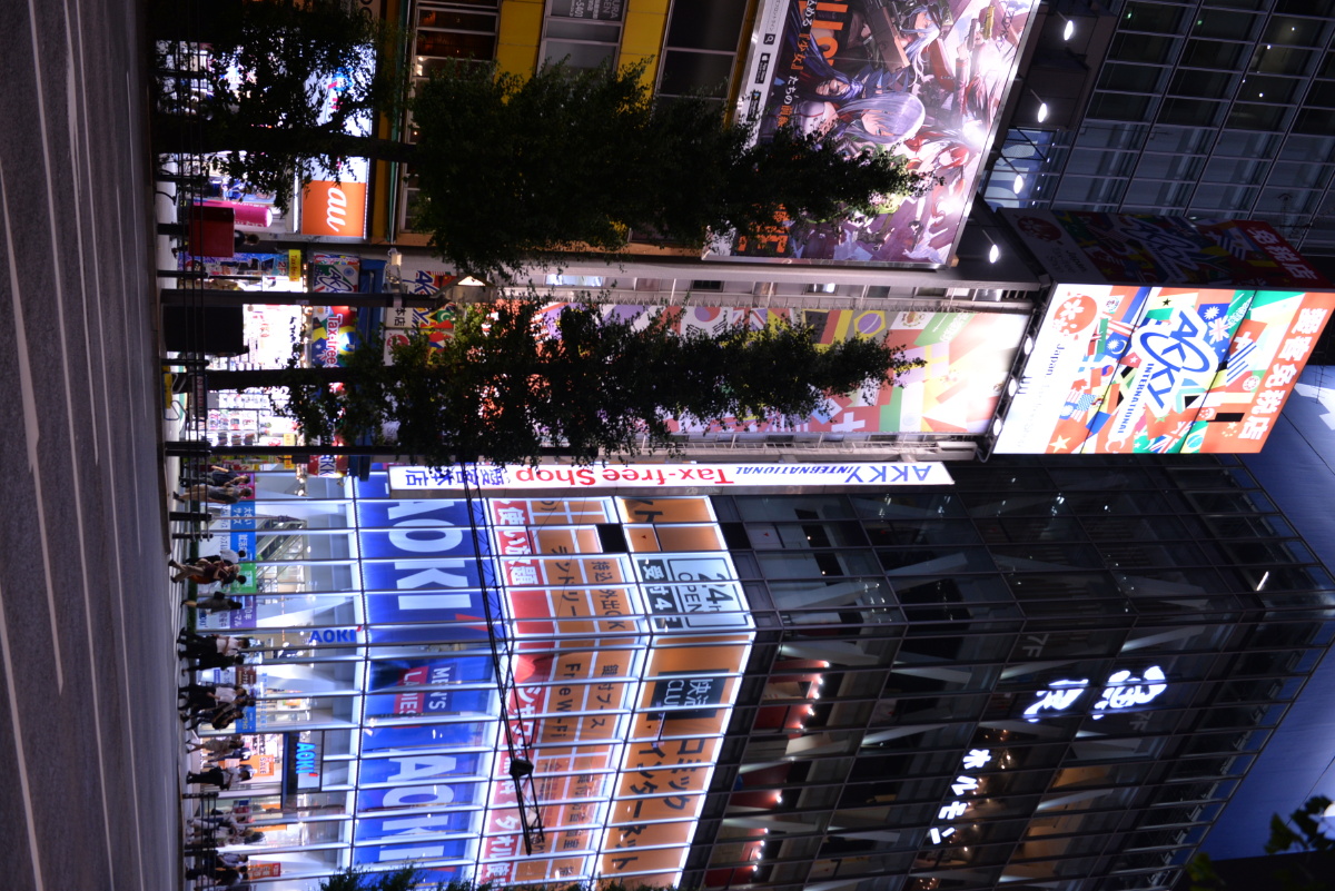 秋叶原灯红酒绿犬马声色