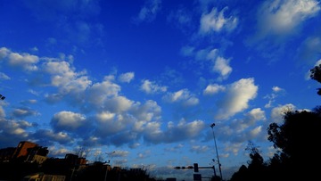 _DSC9377z