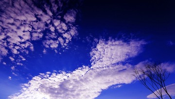 _DSC0098z