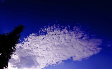 _DSC0103z