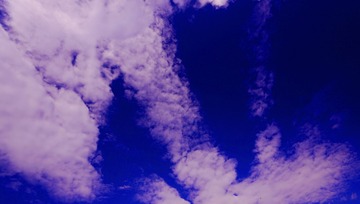 _DSC9928z