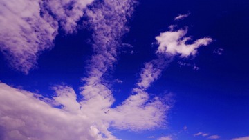 _DSC9936z