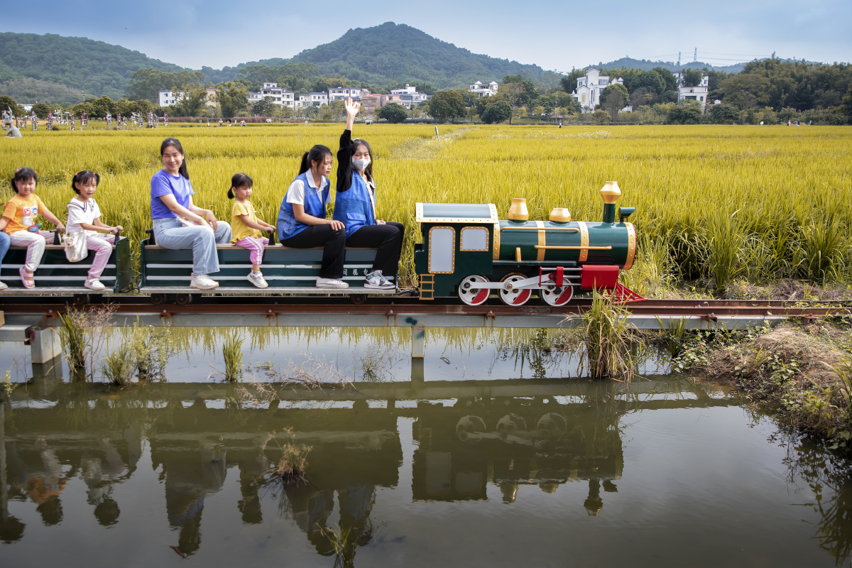 稻田里快乐的小火车