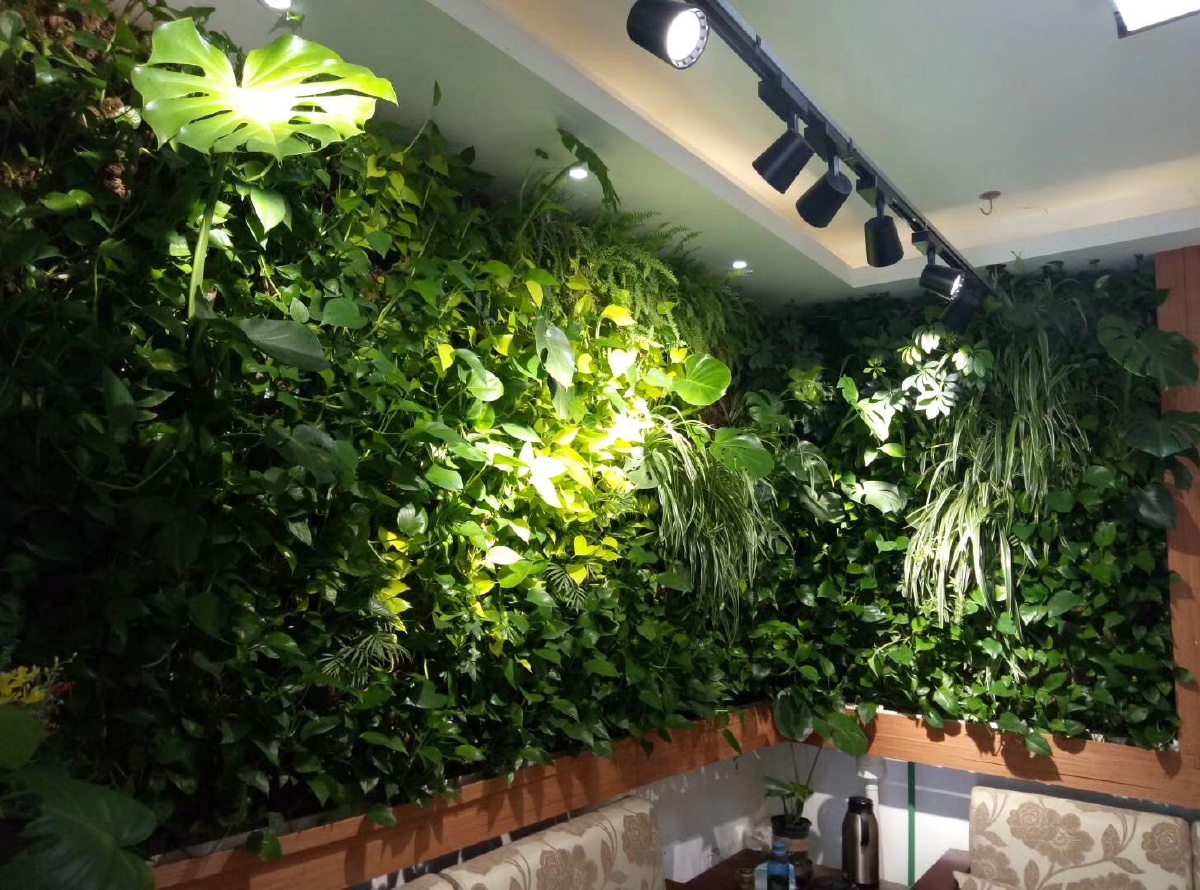 植物墙软装与你们分享 - a0徐氏花艺工作 - 图虫