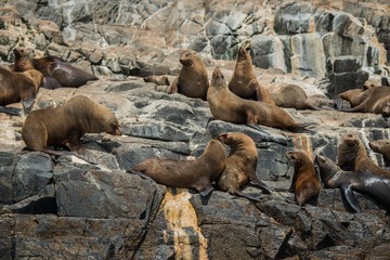 _DSC4020
