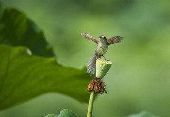 DSC_3661_???