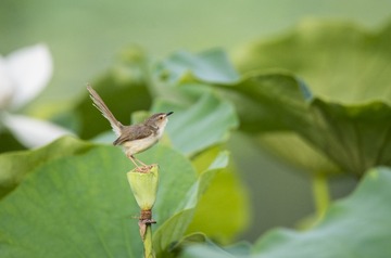 _DSC0644_???