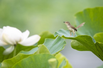 _DSC0084_1_???