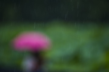 _DSC3248_1_???