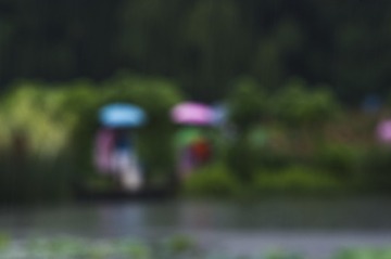 _DSC3342_???