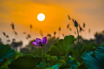 _DSC5023_???_???