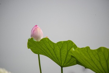 _DSC5078_???