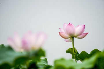 _DSC3631_???