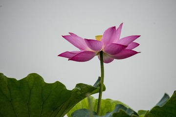 _DSC3146_???
