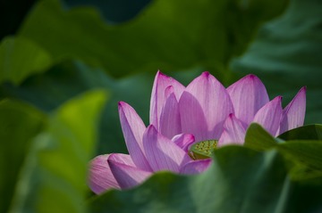 _DSC8502_???