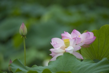 _DSC0434_???