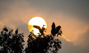 _DSC1487_???