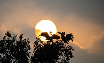 _DSC1488_???