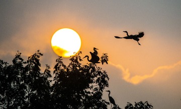 _DSC1426_???