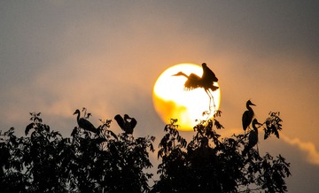 _DSC1457_???