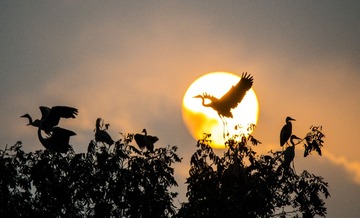 _DSC1466_???
