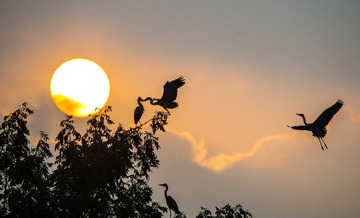 _DSC1422_1_???