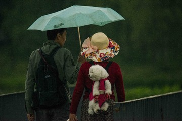 _DSC4369_???