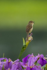 _DSC3577_???
