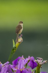 _DSC3568_???