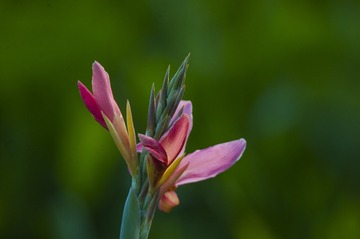 _DSC0535_???