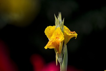 DSC_2125_???