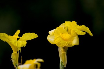 DSC_2114_???