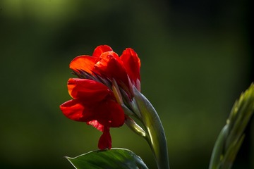 DSC_2186_???
