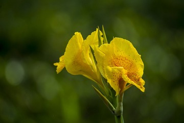 DSC_2170_???