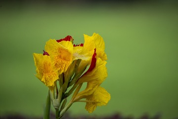 DSC_2159_???
