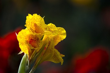 DSC_2152_???