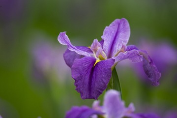 _DSC3856_???