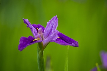 _DSC2549_???