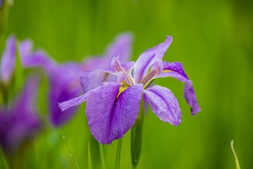 _DSC2524_???