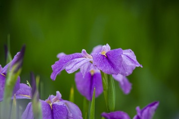 _DSC2544_???