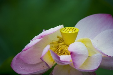 _DSC4745_???