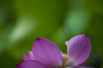 _DSC5686_1_???