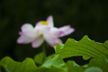_DSC5157_???