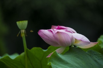 _DSC4879_???