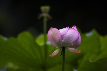_DSC5632_???