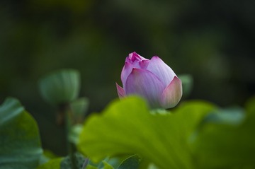 _DSC5757_???