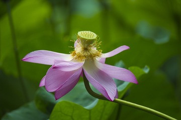 _DSC6683_1_???