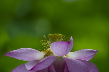_DSC6572_???